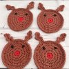 Reindeer Coaster